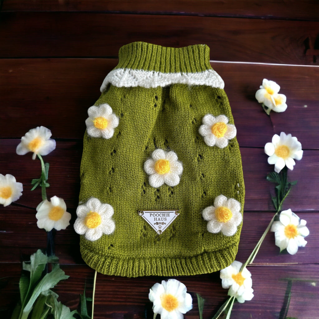Daisy Fields Warm Sweater